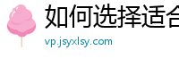 如何选择适合的外链建设软件